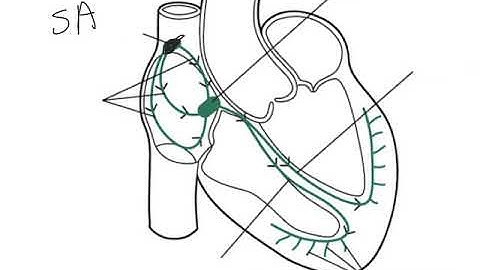 ADAP Chapter 20 Lecture Video 1