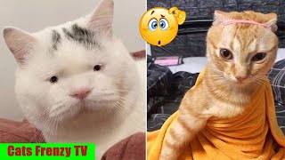 The CUTE CAT FUNNY Videos of 2024! 😹😍 | BEST Compilation Part 5