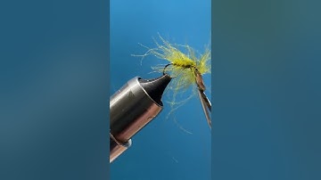 CDC & Elk caddis dry fly