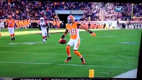 Jerome Simpson Touchdown Flip HD