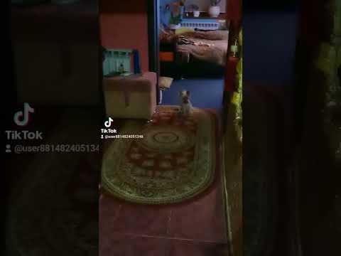 #люся #настраже #ночной