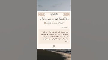 سورة الشورى أية (٢٥) #نرتقي_بالتعلم