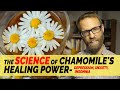 Chamomile Fact or Fiction: Does It Actually Help Anxiety, Depression and Sleep?