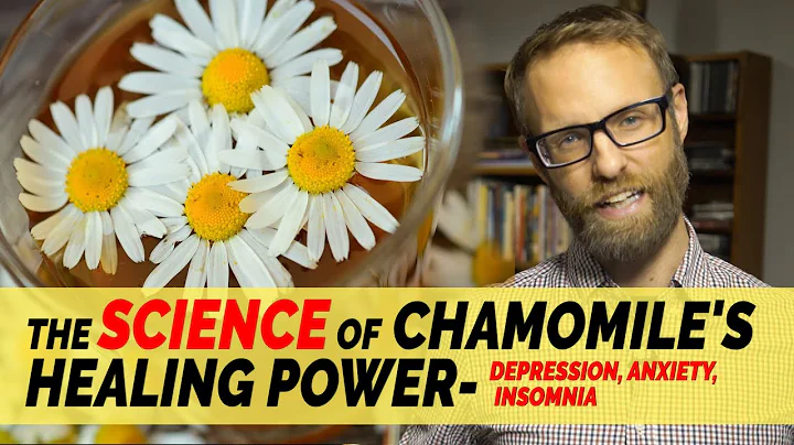 Chamomile Fact or Fiction: Does It Actually Help Anxiety, Depression and Sleep? - DayDayNews
