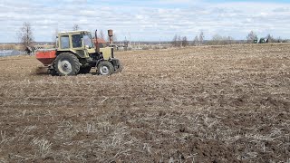 Яровой ячмень. Начало полевых испытаний биогумуса