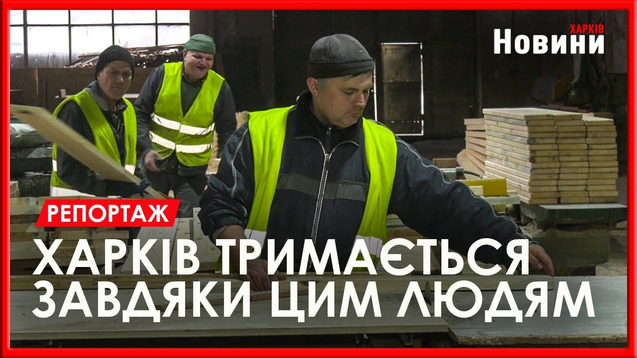 Дерево, яке зміцнює Харків: як комунальники “ХРБП” дбають про комфорт та безпеку містян