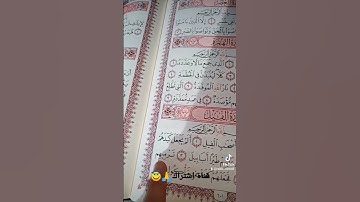 قورعان الكريم❤️سورة الفيل💚بصوت ماهر المعيقلي😇