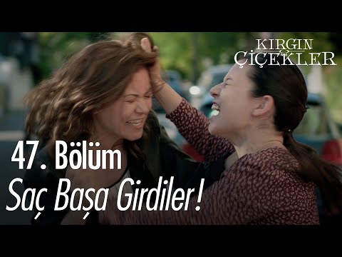 Banu ve Mesude birbirine girdi! - Kırgın Çiçekler 47. Bölüm