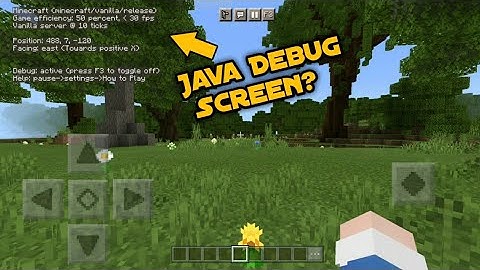 Mcpe Addon Review •|• Java Debug Screen!!