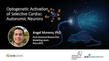 Optogenetic Activation of Selective Cardiac Autonomic Neurons