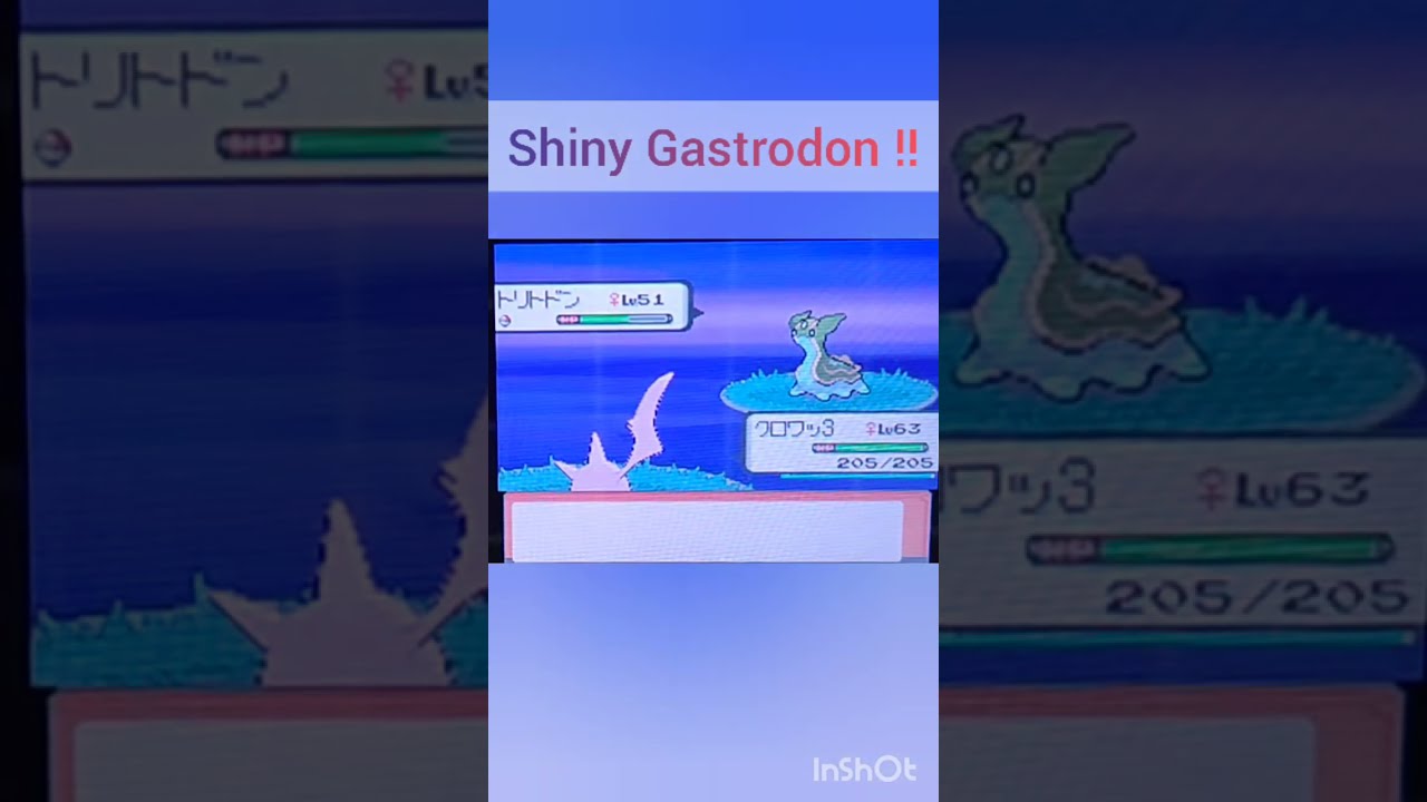 Pokemondp The Diary Capturing Shiny Pokemon S Day32 Gastrodon ポケモンdp 色違い捕獲日記 32日目 トリトドン Shorts Youtube