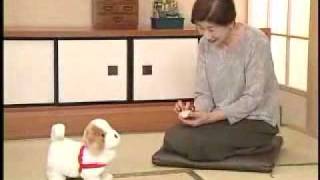 日本直販 愛犬ロボ「てつ」