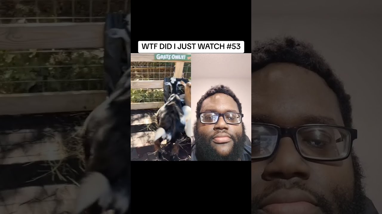 Look At That White Goat 