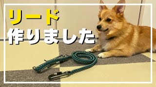 【DIY】パラコードでサクのお散歩リードを自作してみました【コブラ編み】