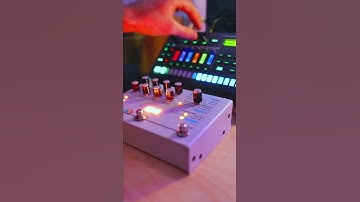 The TR 6S is severely underrated #tr6s #roland #groovebox #electronicmusic #shorts