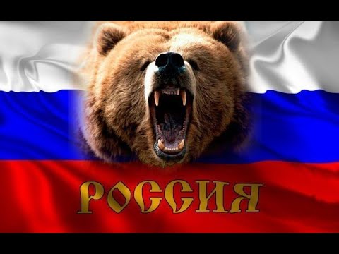 Медведь с флагом россии картинки