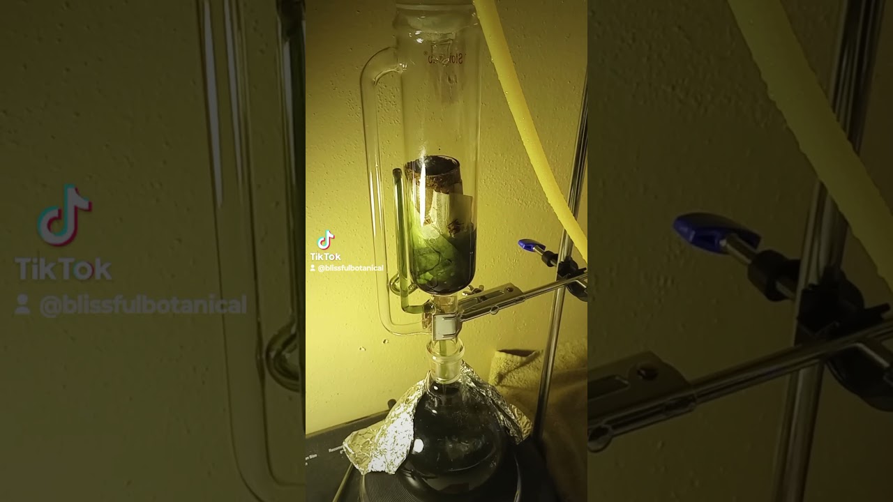 Day 2 of the full spectrum double extraction of kratom leaf using the Soxhlet.  RandysRemedies.com