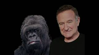 Robin Williams Meets Koko the Gorilla by Nostalgia and Oldies 203,405 views 2 years ago 7 minutes, 57 seconds