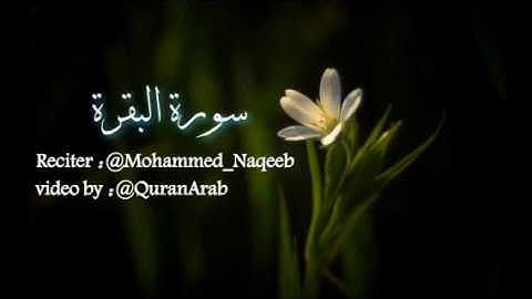 💘سورة البقرة كاملة بدون حقوق…تلاوة معطرة هادئة تريح القلب …صوت جميل جدا