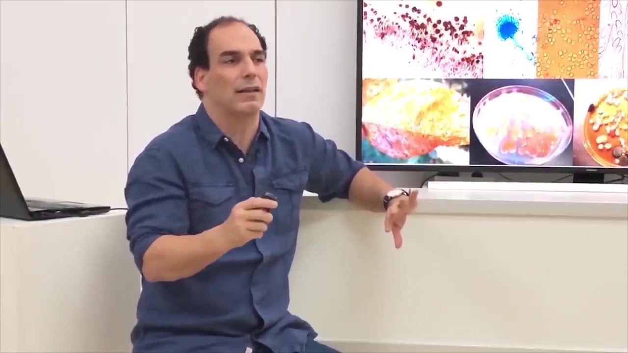 VIRUS, BACTERIAS, HONGOS y HUMANOS Ernesto Prieto Gratacós