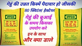 गेहूं में बूआई के समय क्या डाले || गेहूं की उन्नत किस्में || गेहूं की खेती