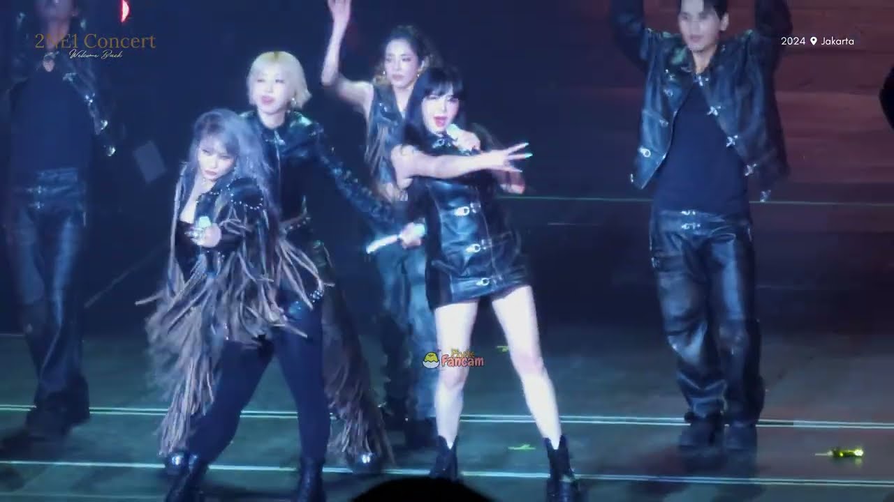 [4K] [FanCam] Falling in love - 2ne1 Concert in JAKARTA