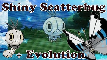 Shiny Scatterbug on Pokemon Y after 334 eggs!! + Evolution (Monsoon)