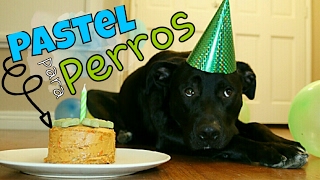 PASTEL PARA PERROS | Cumpleaños Max | SUSANA ORTIZ