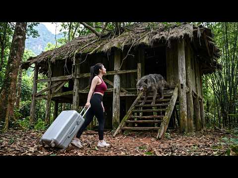 The  Abandoned Wooden House in the Mountains Became a Wolf Den… Should CEO Girl Stay or Run?