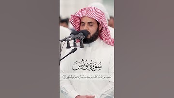 تلاوة مريحة من سورة يونس الآية 25 القارئ رعد الكردي