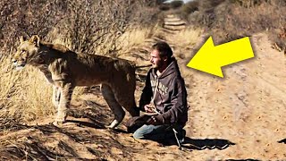 This Lion Cub Separated From Her Pride Is Taken In By An Unlikely New Family