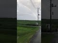 虹　ライブ