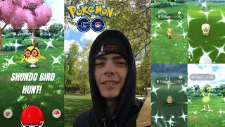 Shundo Bird Hunt! Flock Together Research Day! Flying Type Shinies!