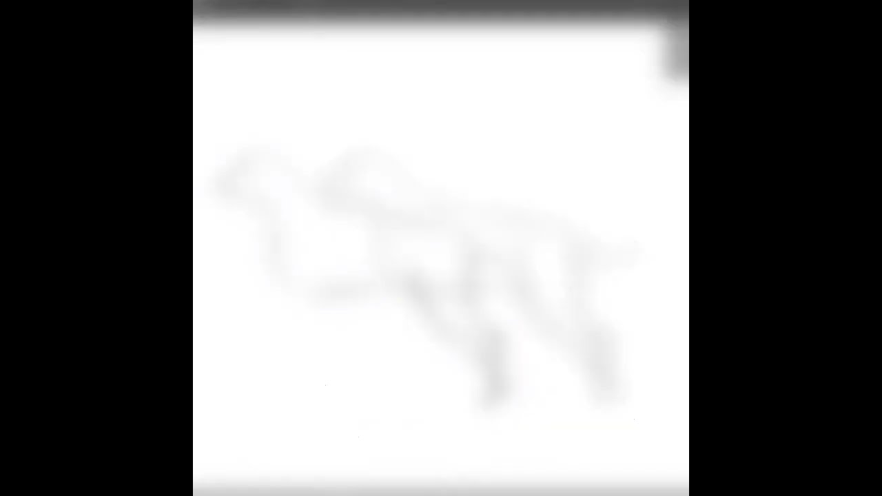 Adobe Illustrator Drawing For A Dog Logo Design By Saruar360 shorts Adobe Illustrator Drawing For A Dog Logo Design By Saruar360 shorts