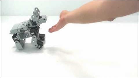 Gilbo & Robotis - Bioloid Premium Kit - Yavru Geyik www.robotsepeti.com www.gilbo.com.tr