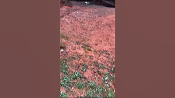 164* ماتيسر من سورة البقرة #عبد الرحمن الجريذي #