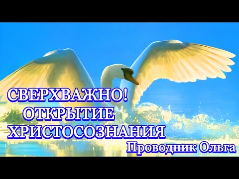 Видео: На каква възраст трябва да започна да давам моята Велика дама?