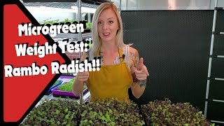 Does Weight Affect Microgreen Germination? | 3 Weight Levels on Radish