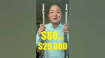 $80 (Amazon) vs. $29,000 Flute - Can You Hear the Difference? #shorts