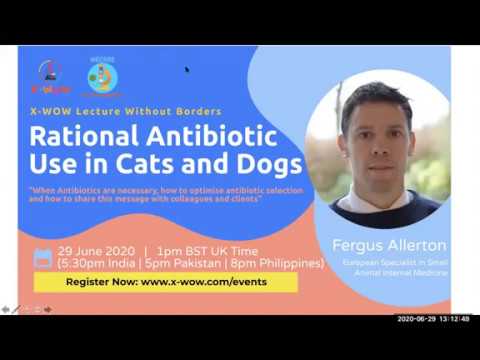 Video: Pet Scoop: FDA Limits Antibiotisk bruk på dyr, eide amerikanere flere katter enn hunder