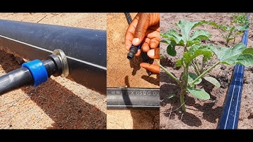 JINSI YA KUTUMIA NA KUFUNGA DRIP IRRIGATION SYSTEM, UMWAGILIAJI