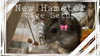 New Hamster Cage Set Up!