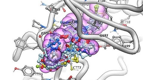 Virtual Ligand Screening in MolSoft