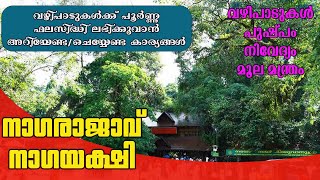 നഗരജവ നഗയകഷ വഴപടകൾകക പർണണ ഫലസദധ ലഭകകവൻ അറയണടചയയണട കരയങങൾ