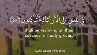 Surah yaseen 55 - 58 - Islamic Guide