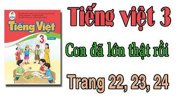 Tiếng việt lớp 3 sách cánh diều | bài 2 : Con đã lớn thật rồi | trang 22,23,24