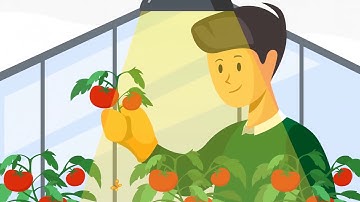 Streamline Your Commercial Aquaponics Farm