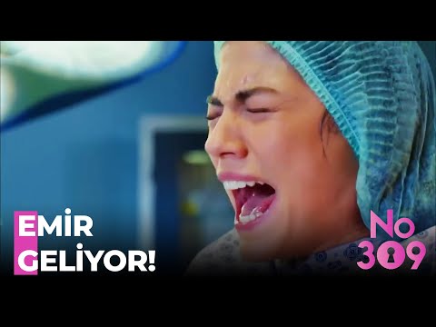 Lale'nin Doğumu Başladı - No:309