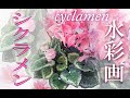 シクラメンのかほり・薄紅色・