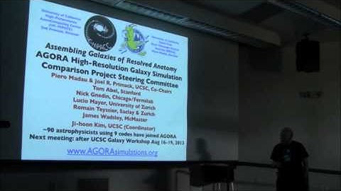 Simulating the universe by Joel Primack